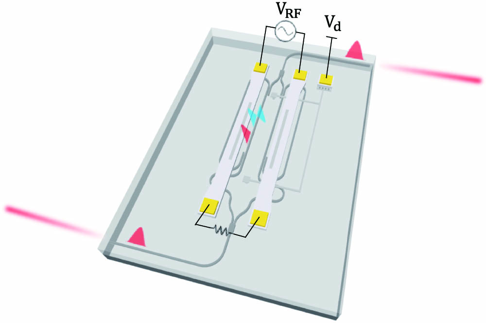 Schematic structure of the ML-MZM.