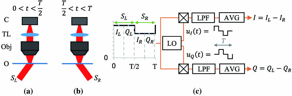 Scheme of operation of lock-in DPC with two illuminations. (a) Simplified DPC microscope scheme during the first half period; the left source SL illuminates the object (O), the transmitted light is collected by the objective (Obj), and an image is formed by the tube lens (TL) on the camera (C). (b) Simplified DPC scheme during the second half period, using the right source SR. (c) Scheme of operation of a heliCam C3 pixel. The signal modulated at frequency 1/T is integrated and sampled four times during each period. The local oscillator (LO) generates two discrete signals: uI is a periodic sequence of [+1, 0, −1, 0], and uQ is the same signal phase shifted by 90°. Discrete multiplication is performed between the sampled signal and each of the two local oscillator signals. The resulting signals are then low-pass filtered (LPF) and averaged in time (AVG), giving at the output the frames I and Q, which are digitized by a 10-bit ADC. To synchronize with the DPC illumination, the two sources SL and SR are switched on and off alternatively over a period T equal to the demodulation period of the lock-in camera. Four samples are taken during one cycle: two while the source SL is on (IL and QL) and two while the source SR is on (IR and QR). If the illumination switches in phase with the local oscillator, I and Q are equal.