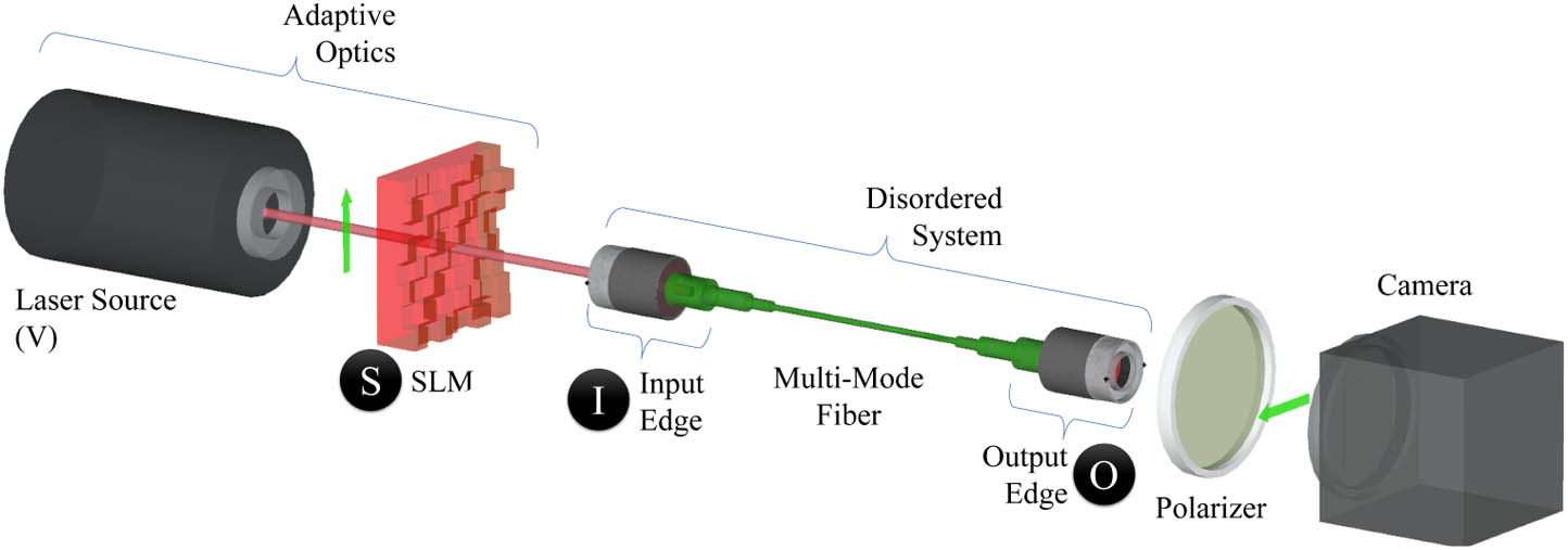Scheme of the setup used for our imaging experiments. A laser source (vertical polarization) is modulated into a probing pattern using a spatial light modulator (SLM). Once modulated, the field is projected onto the input edge of a multi-mode fiber (I). The light that trespasses the disordered medium is imaged at the output edge (O) by a standard camera sensor (horizontal polarization).