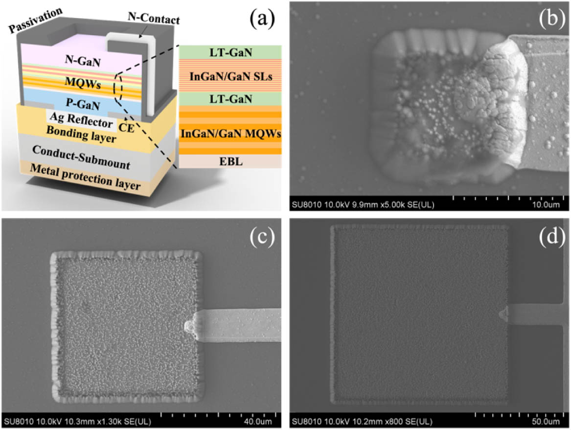(a) Schematic of the vertical structure of Si-substrate micro-LED-based photodetector; SEM images of (b) 10 μm, (c) 50 μm, and (d) 100 μm chips.