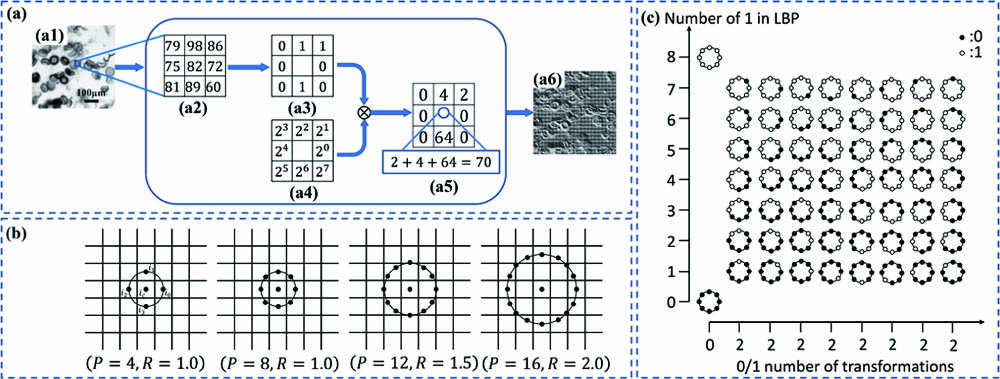 Diagram of LBP principles. (a) Encoding process of original LBP: (a1) grayscale image; (a2) gray value of a 3×3 neighborhood in the grayscale image; (a3) binary thresholding result of the neighboring pixels; (a4) corresponding weight of each pixel position; (a5) LBP value of the central pixel; (a6) LBP feature mapping image of the grayscale image. (b) Circular neighborhood corresponding to different values of P and R. (c) ULBP patterns including two 0/1 transitions and two special cases in LBP.