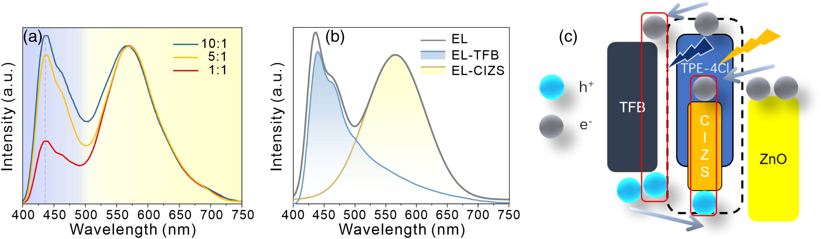 Color regulation and luminescence mechanism of single-TFB HTL device WLEDs. (a) Normalized EL spectra of single-TFB HTL devices based on TPE-4Cl:CIZS NCs EMLs with different ratios at 5 V. (b) EL spectra of the hybrid film (10:1), TFB film, and CIZS NCs, respectively. (c) Schematic of the EL mechanism hypothesis.