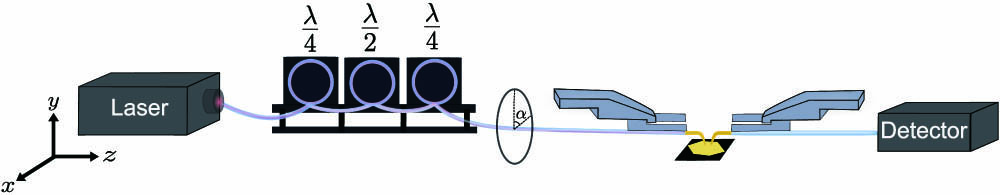 Dual-tip SNOM setup for characterizing the polarization of the emission from the excitation aperture tip. The laser beam with a polarization angle α is coupled to the end of the fiber tip. The emission from the aperture tip at its apex excites SPPs on a monocrystalline gold platelet. The detection tip maps the near-field pattern of the excited SPPs.