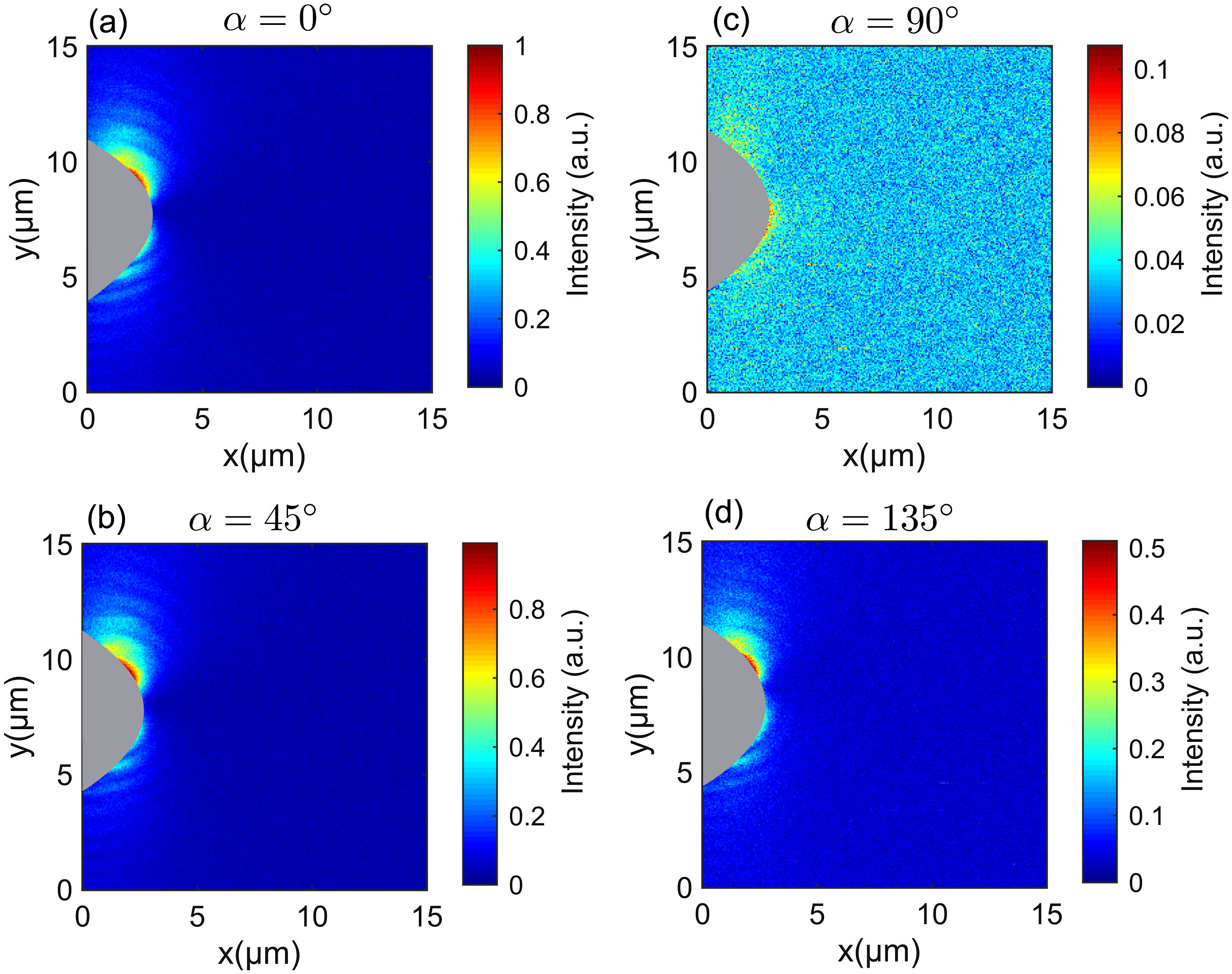 Near-field intensity maps of the excited SPPs for different input polarization angles (α) of the laser beam coupled to the end of the fiber tip: (a) α=0°, (b) α=90°, (c) α=45°, and (d) α=135°. The intensity in each panel was divided by the maximum obtained intensity from all the different measured polarization angles. The gray region shows the avoidance area.