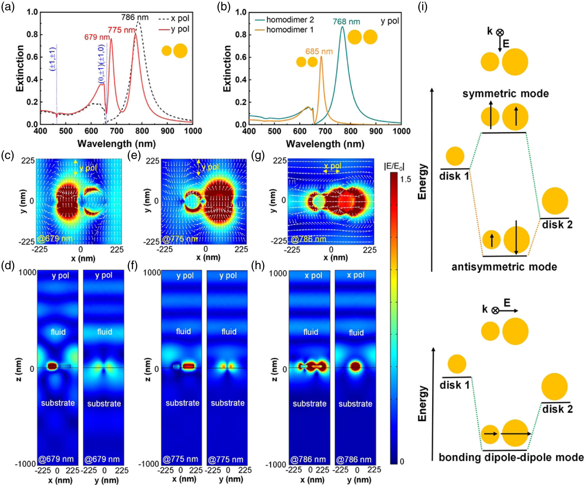 Optical properties of plasmonic metasurface. (a) Extinction spectra of MDH arrays for x- and y-polarized incidence conditions. Inset: unit cell of MDH arrays. (b) Extinction spectra of homodimer 1 and homodimer 2 arrays for y-polarized incidence conditions. Inset: unit cells of homodimer 1 and 2 arrays. (c)–(h) Electric field distributions of MDH at the two resonant wavelengths of ∼679 nm and ∼775 nm under y polarization (c)–(f) and ∼786 nm under x-polarization (g), (h). (i) Schematic plasmon hybridization of MDH.