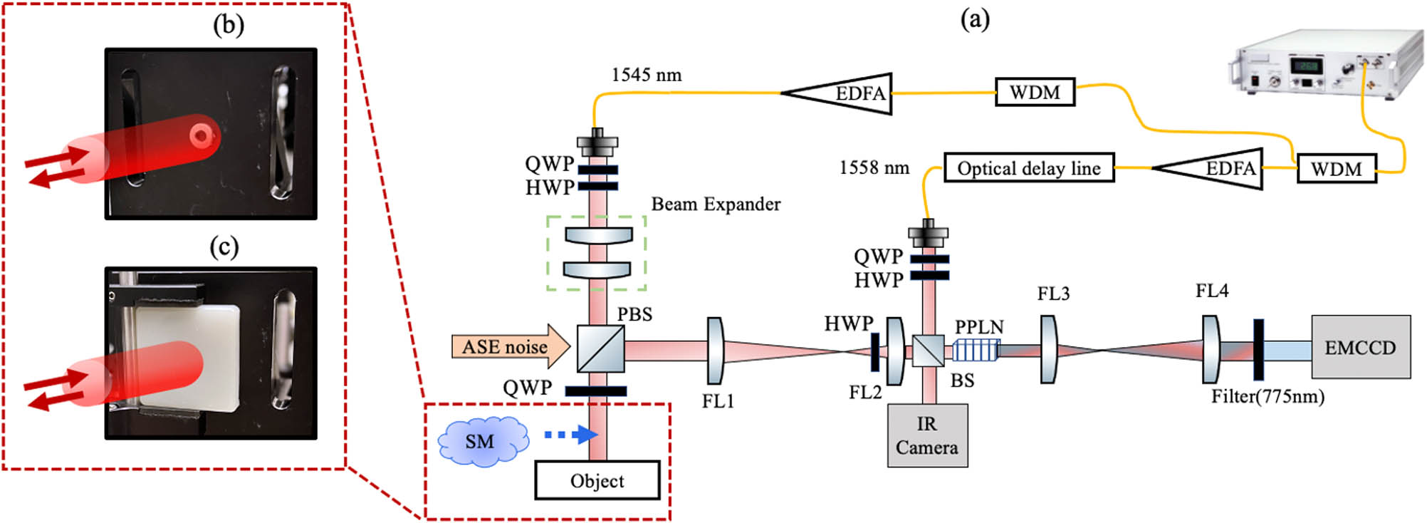 (a) Experiment setup. Mode-locked laser pulses are separated into two arms by using WDM filters, with signal and pump wavelengths at 1545 and 1558 nm, respectively. The signal beam is incident on an obscured object. The backscattered signal photons are combined with the pump and are then upconverted in a nonlinear crystal to generate SF output centered at wavelength 775.5 nm. The time-resolved measurements can faithfully reconstruct the 3D object image captured by the EMCCD camera. (b) Picture of the object (a washer) attached on an aluminum block. (c) Picture of the obscured object, i.e., the washer obscured by the scattering media (SM). WDM, wavelength division multiplexer; EDFA, erbium-doped fiber amplifier; QWP, quarter-wave plate; HWP, half-wave plate; BS, beam splitter; FL, Fourier lens; PPLN crystal, magnesium-doped periodically poled lithium niobate crystal; EMCCD, electron multiplying silicon charge coupled device; ASE, amplified spontaneous emission.