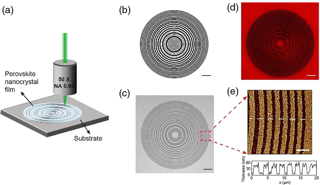 Direct laser writing of PUP lenses on perovskite films. (a) Schematic illustration of the femtosecond laser fabrication process of PUP lenses. (b) Theoretically calculated lens profile with concentric rings. Scale bar: 10 μm. (c) Fabricated PUP lens imaged by a wide-field optical microscope. Scale bar: 10 μm. (d) Fluorescence image of the fabricated PUP lens. Scale bar: 10 μm. (e) AFM image of a region of the fabricated PUP lens and the corresponding height profile along the white dashed line. Scale bar: 4 μm.