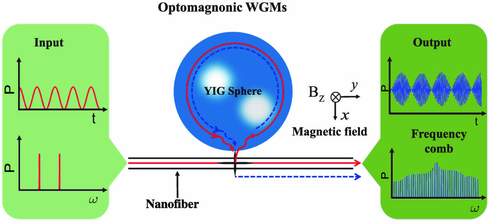 Schematic illustration of the optomagnonic WGMs, in which the YIG sphere supports WGMs for photons and the magnetostatic mode for magnons. A magnetic field Bz perpendicular to the plane of the WGM is applied to saturate the magnetization. A bichromatic input laser light (temporal and spectral in the rotating frame) evanescently couples to the optical WGMs via a nanofiber, and the output field supports the generation of optomagnonic frequency combs.