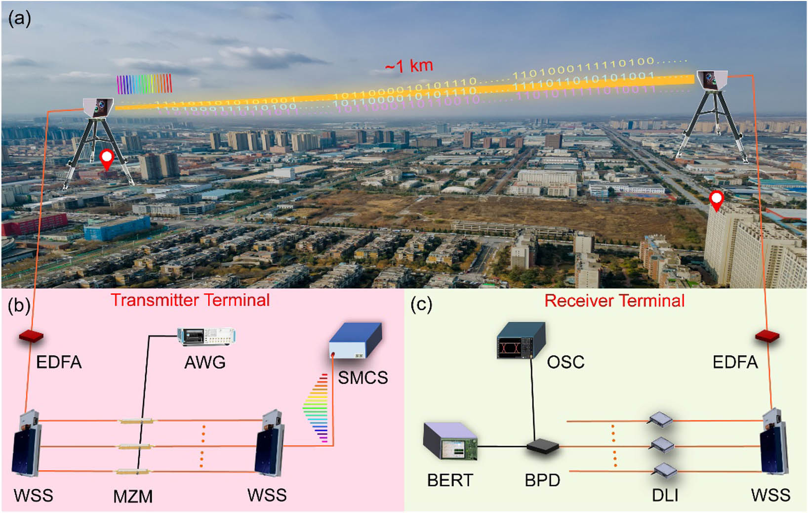 Schematic of soliton microcomb-based massively parallel FSO communication system. (a) The experiment scenario of the FSO communication system. The transmitter and receiver terminals are installed at two buildings with a straight-line distance of ∼1 km. The power penalty of the space link is ∼40 dB using two lenses with a 25 mm aperture as optical antennas. (b) The schematic diagram of the transmitter terminal. An SMC is used as a multiwavelength optical source which is demultiplexed using a commercial WSS. All the optical carriers are modulated by high-speed signals with the format of non-return-to-zero differential phase shift keying. All the optical signals are multiplexed together and amplified by an EDFA. (c) The schematic diagram of the receiver terminal. The received optical signals are demultiplexed by a WSS and demodulated using a DLI technique. SMC, soliton microcomb; WSS, wavelength selective switch; EDFA, erbium-doped fiber amplifier; MZM, Mach–Zehnder modulator; AWG, arbitrary waveform generator; DLI, delay line interferometer; BPD, balanced photodetector; OSC, oscilloscope; BERT, bit error rate tester.