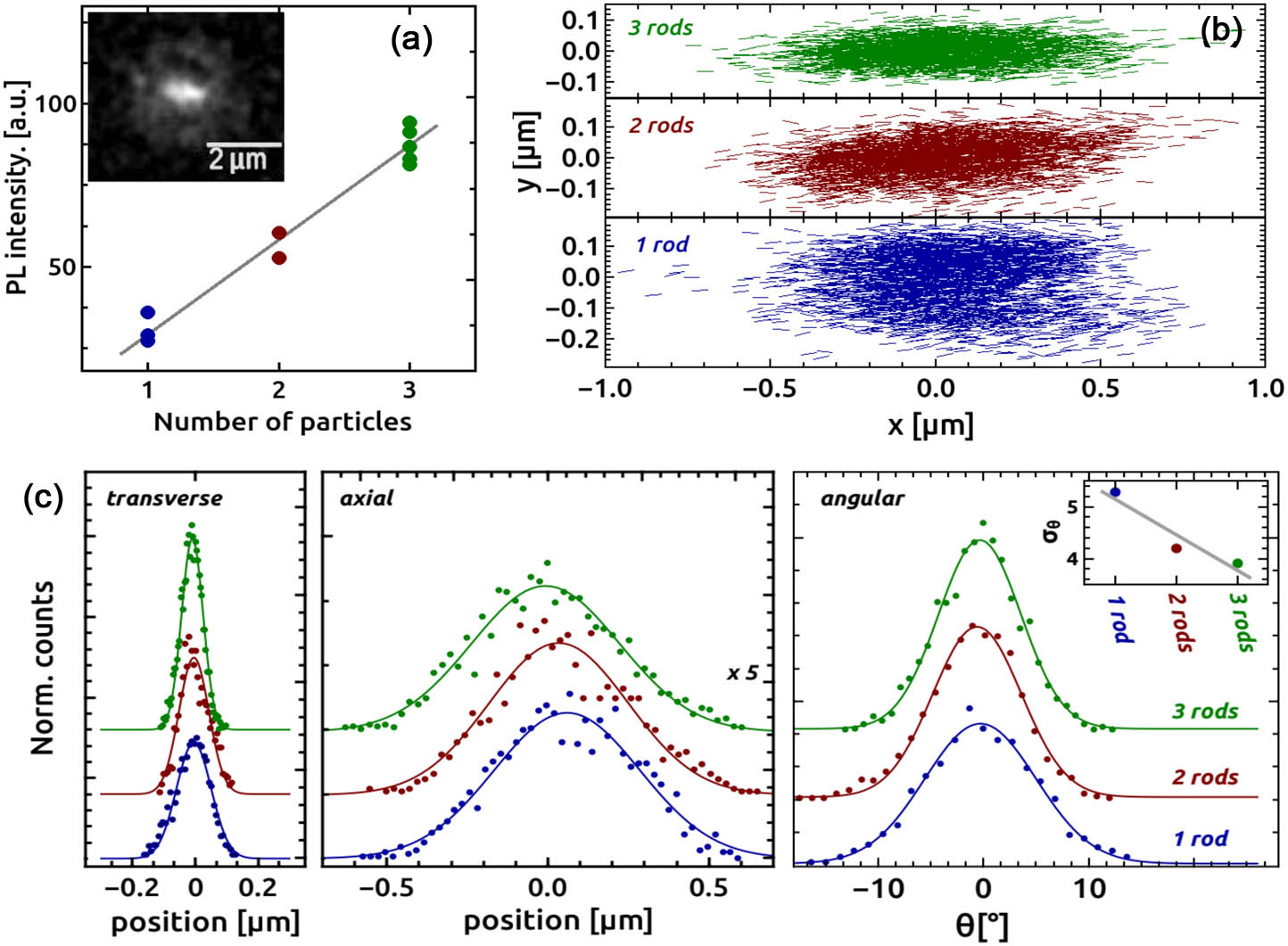 Optical trapping results. (a) PL intensity as a function of the number of nanorods in the trapped cluster. Inset: microscope photoluminescence image of a trapped nanorod. (b) Particle tracking plot for one single nanorod and clusters of two or three rods (P=32.2 mW). (c) Corresponding position (transverse and axial) and angular distributions. Inset: angular distribution width.