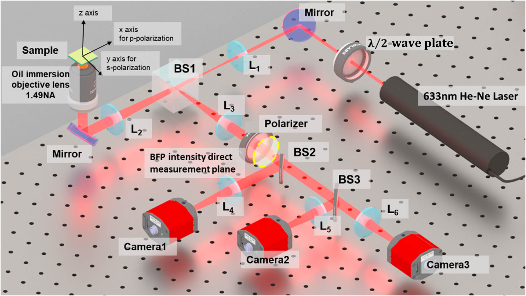 Schematic of the system used to recover the complex field of the BFP, showing three cameras are placed at three corresponding detection arms with various negative defocus positions. One additional arm (the yellow dashed circle plane) was inserted for direct observation of the intensity in the back focal plane. This was not used in any of the reconstructions and simply used for comparison.