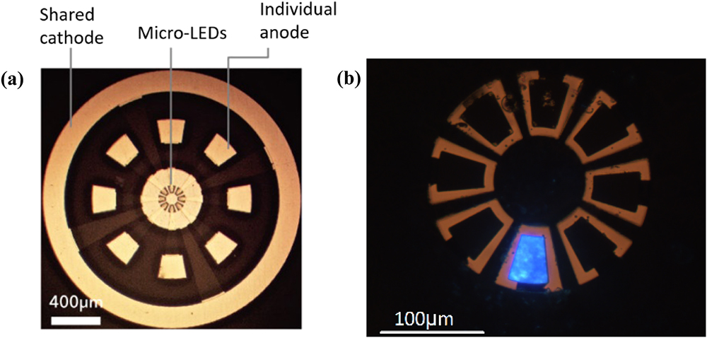 (a) Top-down micrograph image representation of a micro-LED array, showing the eight concentric and individually addressable pixels. (b) UV-C pixel in operation.