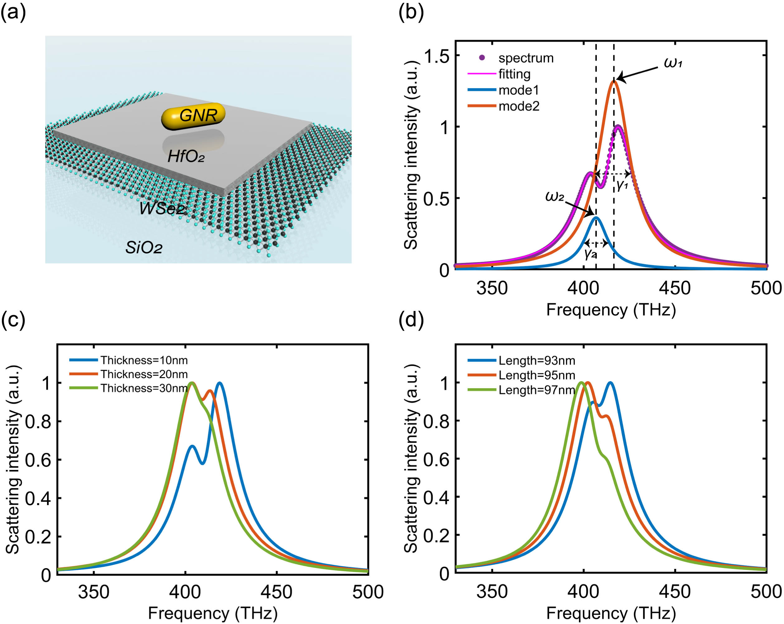 Plasmon-exciton system with adjustable scattering spectrum. (a) Schematic of the plasmon-exciton system composed of a GNR and a monolayer WSe2 separated by an auxiliary layer of HfO2. (b) Scattering spectrum of the plasmon-exciton system. The purple points correspond to the scattering spectrum from numerical simulation, with a HfO2 thickness of 10 nm and a GNR length of 94 nm. The red curve is the double-Lorentzian fitting result of the scattering spectrum. Blue and green curves are the individual hybrid modes extracted from the fitting result. (c) Scattering spectra for various thicknesses (10 nm, 20 nm, and 30 nm) of HfO2 with GNR length of 94 nm. (d) Scattering spectra for various lengths (93 nm, 95 nm, and 97 nm) of GNR with HfO2 thickness of 20 nm.