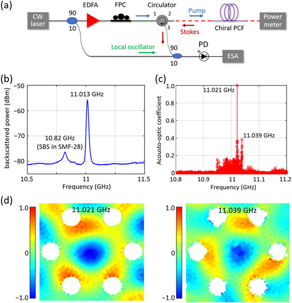 (a) Experimental setup to measure Brillouin frequencies in a chiral PCF. (b) Spontaneous Brillouin spectrum generated by pumping with 0.9 W of circularly polarized CW laser at 1550 nm. (c) Numerically calculated optoacoustic coupling coefficients (normalized) for different acoustic modes around 11 GHz. (d) Axial displacements (normalized to the square root of the power) of acoustic modes at 11.021 GHz and 11.039 GHz in (c).