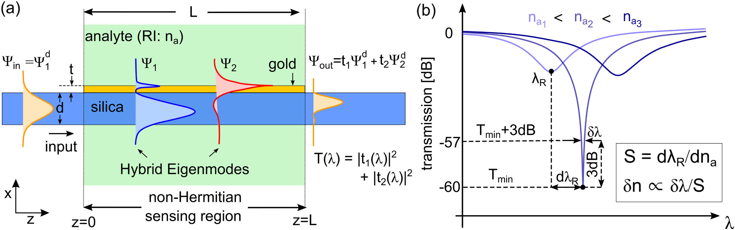 Concept schematic of the plasmonic waveguide sensor considered. The fundamental mode input of a dielectric silica waveguide (width: d; field: ψin=ψ1d) couples to the hybrid EMs (ψ1,2, indicated by blue and red curves) of a gold-coated region (thickness: t), surrounded by a liquid of refractive index na. The EM excitation and interference over a length L result in a wavelength-dependent transmitted power T, which can contain information on changes in na. The output field is a superposition of the dielectric waveguide EMs, ψout=t1ψ1d+t2ψ2d+…. The sensing region is lossy and thus non-Hermitian. (b) Example T(λ) spectra for increasing na. The shift in resonant wavelength λR determines the sensitivity S=dλR/dna. Each resonance possesses a characteristic 3 dB-width δλ, which depends on EM excitation and interference upon propagation. Small changes in na can be resolved for small δλ and large S, i.e., the DL is δn∝δλ/S [31].