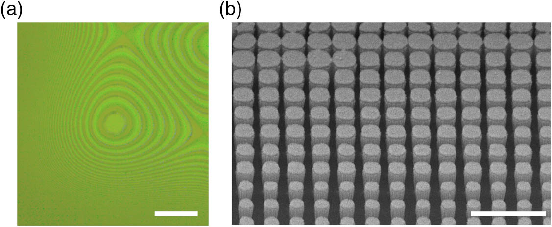 Images of the fabricated meta-optics. The meta-optic was sputter coated with gold-palladium alloy to ensure charge dissipation during imaging. (a) Optical image (scale bar is 150 μm) shows that the fabricated meta-optic is not centrosymmetric. (b) Scanning electron micrograph; scale bar of 1 μm taken at 45° to the normal.