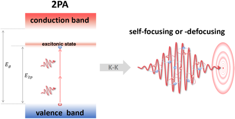 Schematic of the optical Kerr effect (self-focusing or -defocusing) induced by 2PA resonant with the exciton energy (E2p). Eg is the bandgap.