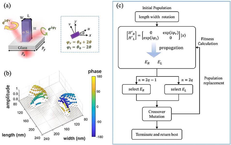 Metasurface design and digitalization based on hybrid genetic algorithm. (a) Schematic illustration of phase modulation by combining dynamic phase and geometric phase. (b) Simulated results for the amplitude and dynamic phase of trl channel. The selected nanofins are marked by colored dots, with various phases ranging from −π to π and high amplitude above 0.83. (c) Flowchart of the hybrid genetic algorithm for generating metasurfaces based on the selected structures, where n is an integer that represents the parity of iteration number.