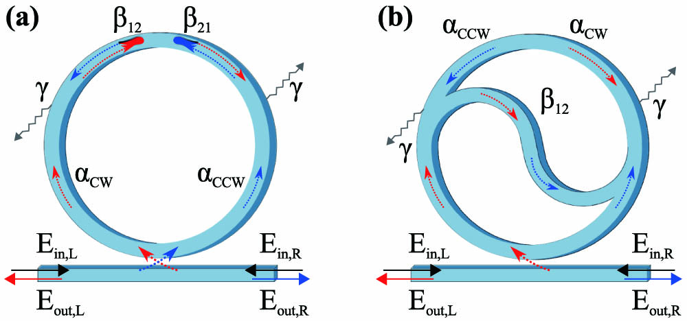 Sketch of (a) ring and (b) taiji microresonator coupled to a bus waveguide. The arrows indicate the propagating fields. Specifically, the red (blue) highlights propagation in the clockwise (counter-clockwise) direction. The different symbols are defined in the text.