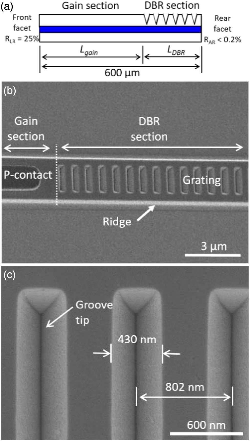 (a) Schematic side view of a DBR laser diode consisting of a gain section and a DBR section; top-view scanning electron microscope images of (b) the DBR laser chip before the SiO2 deposition and (c) the 10th-order surface gratings with V-shaped grooves.