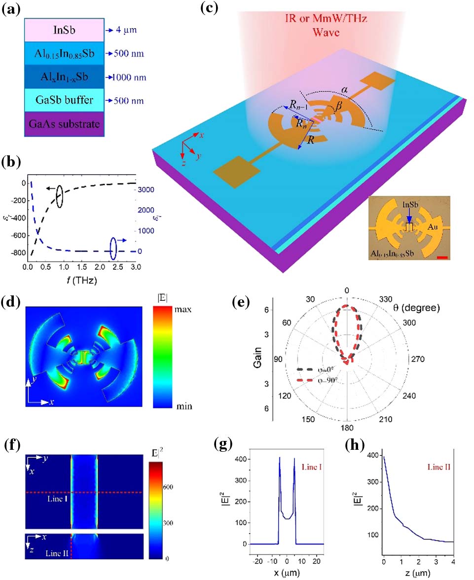 Design of the epitaxial IR-millimeter/THz wave multiband photodetector. (a) Structure of the epitaxial InSb on GaAs. (b) Relative permittivity of InSb in the millimeter/terahertz wave range followed by a Drude model. (c) Schematic of the multiband detector. A planar log-period antenna is adopted to couple the millimeter/terahertz wave. IR wave impinges on the surface of the InSb mesa. Inset is the microscope image of the detector and the scale bar represents 50 μm. (d) Typical field distribution by the couple of the antenna calculated by Ansys HFSS software. In the Ansys HFSS antenna simulation, the electromagnetic wave is fed at the gap with an impedance of 50 Ω. (e) E plane and H plane of the antenna. (f) Typical distribution of |E|2 near the central Au-InSb-Au structure calculated by COMSOL Multiphysics software. PML boundary condition is adopted in the simulation. The incident light is polarized along the direction of the y axis to meet the experiments. Distribution of |E|2 along (g) the cut-line I and (h) the cut-line II in (f).