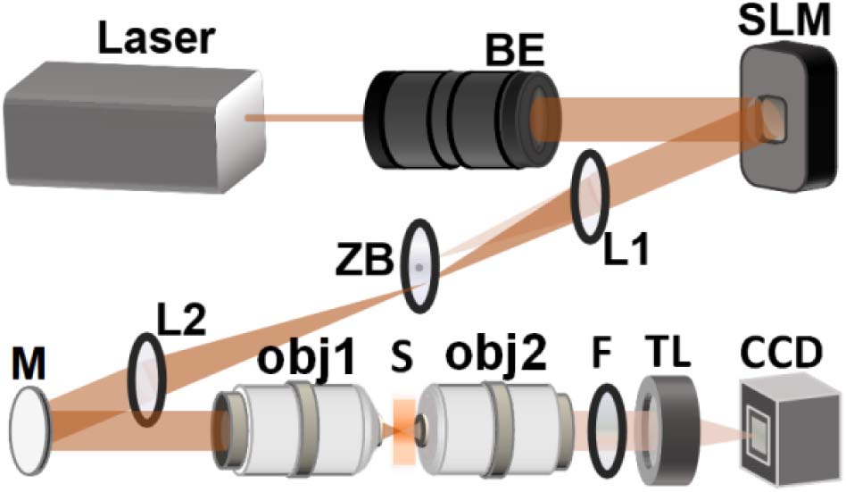 Detection system with opposite-facing objectives. BE, beam expander; ZB, zero-order blocker; L, lens; M, mirror; obj, objective; S, sample; F, filter; TL, tube lens.