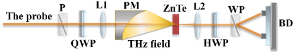 Schematic diagram of 45° optical bias THz-TDS by EOS. P, polarizer; WP, Wollaston polarizer; QWP, quarter-wave plate; HWP, half-wave plate; L1, L2, lenses; PM, off-axis parabolic mirror; ZnTe, (110) ZnTe crystal; BD, balanced detector.
