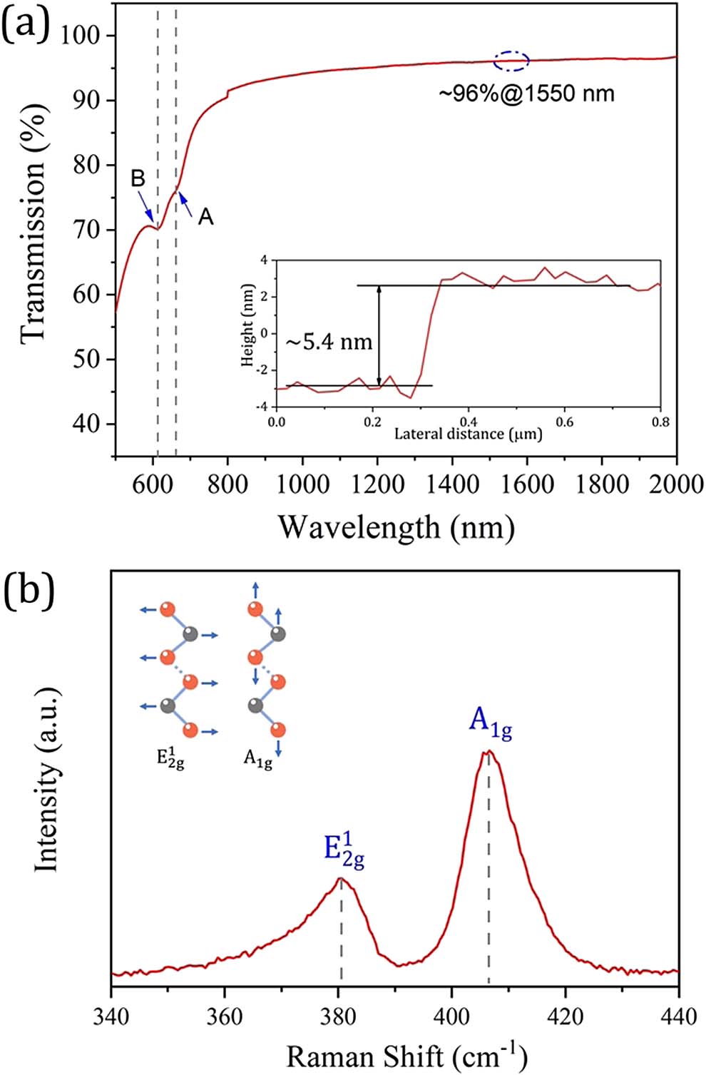 (a) Broadband linear absorption spectrum of few-layer MoS2 film. The inset image is the thickness of film measured by an AFM. (b) Raman spectrum of transferred few-layer MoS2, corresponding to the typical Raman vibrational modes.