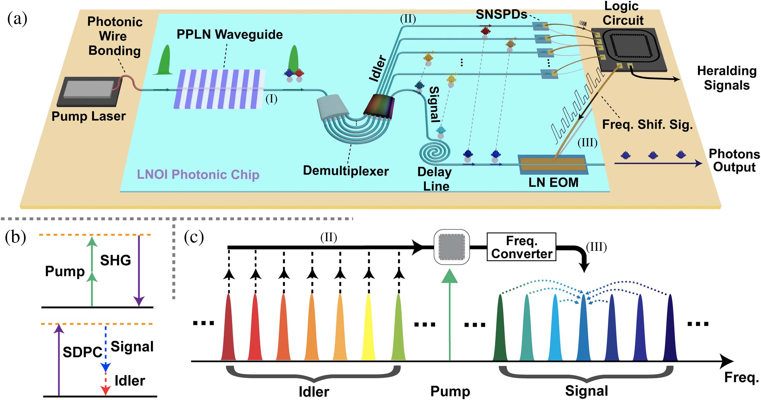 Principles of chip-scale LNOI-based spectrally multiplexed HSPS. (a) A view of future chip-scale LNOI-based spectrally multiplexed HSPS, in which all basic components are integrated on an LNOI photonic chip including pump laser module, (I) photon-pairs generation module, (II) filtering and detecting module, and (III) feed-forward and frequency shifting module. (b) Energy conservation graph of SHG and SPDC. (c) Illustration of multiplexing in frequency domain. Photon-pairs generation module (I) generates broadband correlated signal and idler photons through cascaded SHG and SPDC processes. Idler photons are filtered into different spectral modes and detected by SNSPDs in the filtering and detecting module (II). Detection signals are sent to the logic circuit. The logic circuit sends frequency shifting signal to the feed-forward and frequency shifting module (III), where signal photons are shifted into the common spectral mode. LNOI, lithium niobate on insulator; PPLN, periodically poled lithium niobate; LN, lithium niobate; EOM, electro-optic phase modulator; SNSPD, superconducting nanowire single-photon detector; Freq. Shif. Sig., frequency shifting signals; SHG, second-order harmonics generation; SPDC, spontaneous parametric downconversion.
