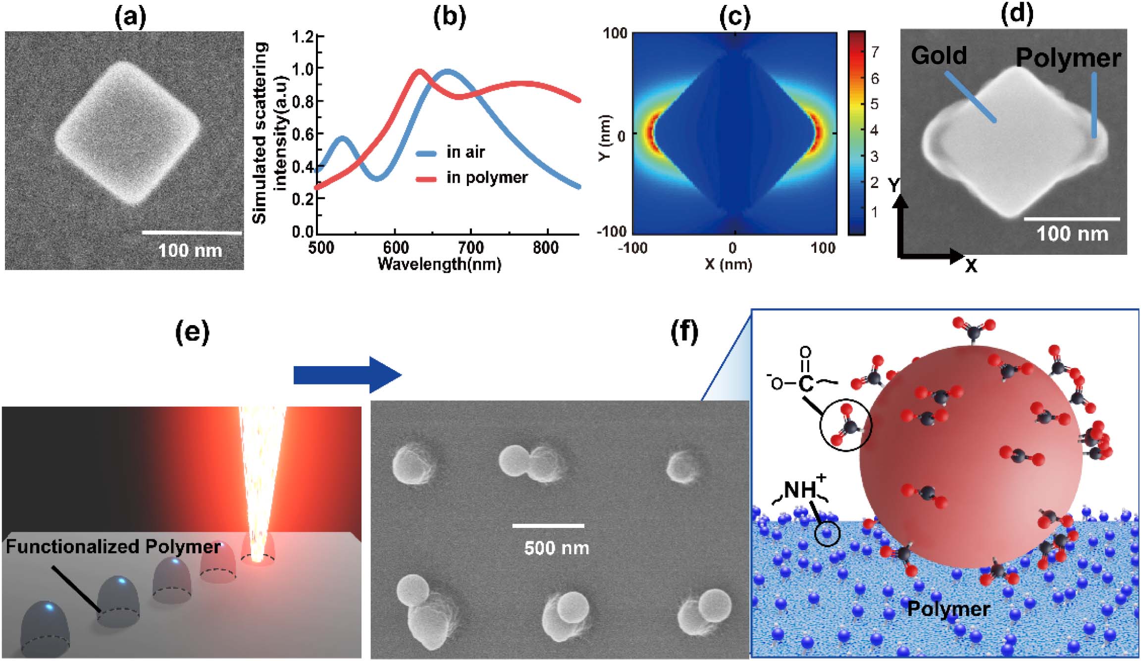 GNC, nanoscale photopolymerization, and surface functionalization. (a) SEM image of a representative single GNC. (b) Calculated scattering spectrum of a single GNC of 125 nm, in air or photopolymer medium (refractive index=1.48), on ITO-coated glass substrate (40 nm thickness of ITO layer with refractive index of 2). (c) FDTD map (at the middle sectional plane of the cube, λ=780 nm) of the field modulus in the vicinity of the GNC illuminated with an X-polarized plane wave. (d) SEM image of the hybrid nanostructure resulting from two-photon polymerization (TPP) triggered by the field shown in (c). (e) Illustration of the photopolymerization of mixture of PETA monomer functionalized by amine. (f) Left: SEM image of polymerized dots whose surface contains amine group. After immersion in a solution of negatively charged functionalized fluorescent doped polystyrene spheres (200 nm diameter), the fluorescent spheres attached on four of the six polymer dots by electrostatic interaction. Right: schematic representation of the electrostatic interaction. NH+ represents the positively charged protonated amine group.