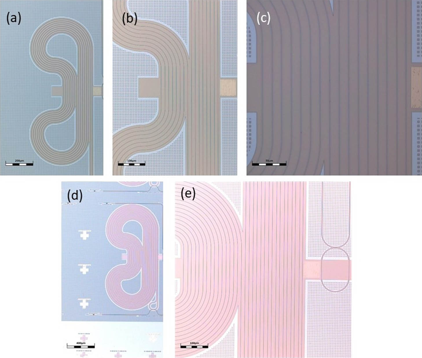 (a)–(c) Top-view optical microscope images of a 16-tap SAW-photonic MWP filter device. Scale bars correspond to 200 μm, 100 μm, and 50 μm in the three panels, respectively. A square grating of gold stripes is deposited to the right of a long resonator waveguide. The resonator layout consists of 16 straight sections that run parallel to the grating stripes. (d), (e) Top-view optical microscope images of a 32-tap SAW-photonic MWP filter device. Scale bars correspond to 400 μm and 100 μm, respectively. A grating coupler for optical input can be seen at the end of a bus waveguide in the lower left corner of panel (d). A two-tap device to the right of the metallic grating is seen in panel (e).