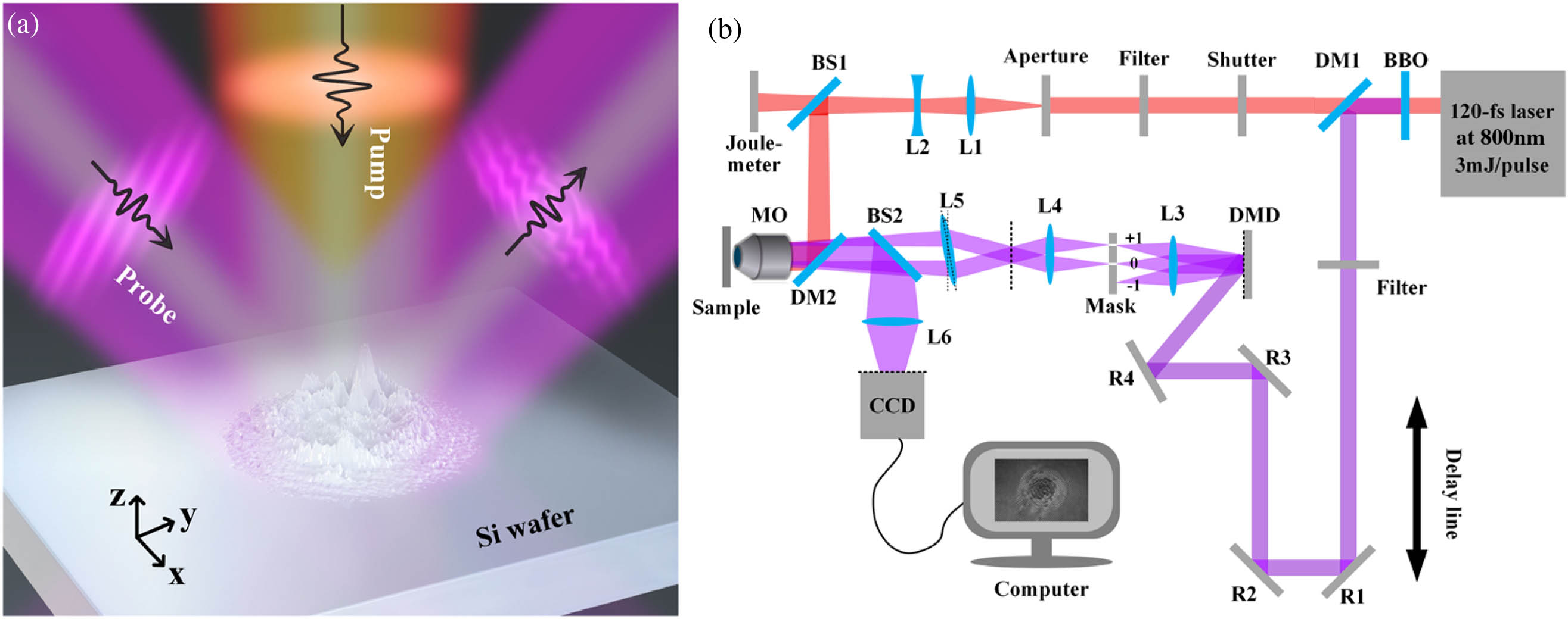 Schematic of the SPSLM, where red and violet indicate pump light (at 800 nm) and probe light (at 400 nm), respectively. (a) Diagram of ultrafast pulses on Si wafer. (b) Optical path of SPSLM: BBO, barium boron oxide; DM1, DM2, dichroic mirrors; L1–L6, lenses; R1–R5, reflectors; BS1, BS2, beam splitters; DMD, digital mirror device; CCD, charge-coupled device; MO, microscope objective (100×, apochromatic, NA=0.9).
