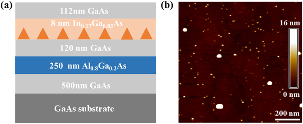 Epitaxial growth of telecom band QDs. (a) Layer sequence of the investigated sample. (b) Representative AFM image of the QDs.