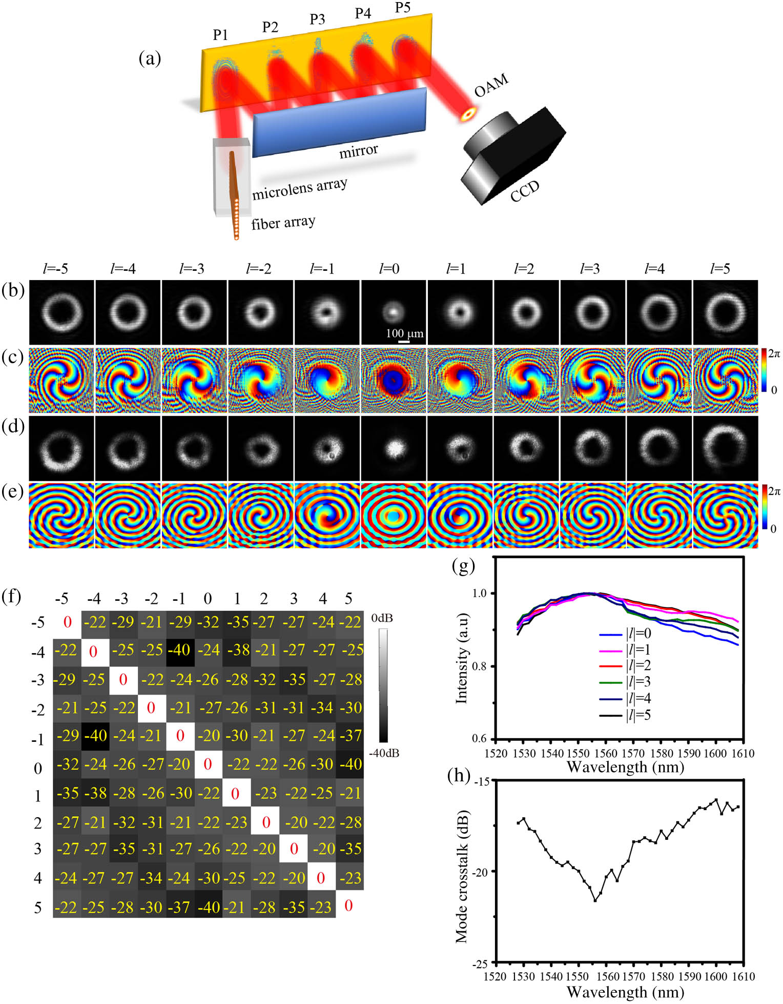 (a) Reflective OAM multiplexer based on MPLC. Calculated images of (b) the OAM intensity profile and (c) the phase of the OAM. (d) Intensity profiles of the OAM generated by MPLC in the experiments. (e) Reconstructed phase profiles for the OAM generated from off-axis holography. (f) Measured mode crosstalk matrix for the OAM. (g) Conversion efficiency and (h) maximum mode crosstalk of the OAM multiplexer over the C-band and the L-band wavelengths.