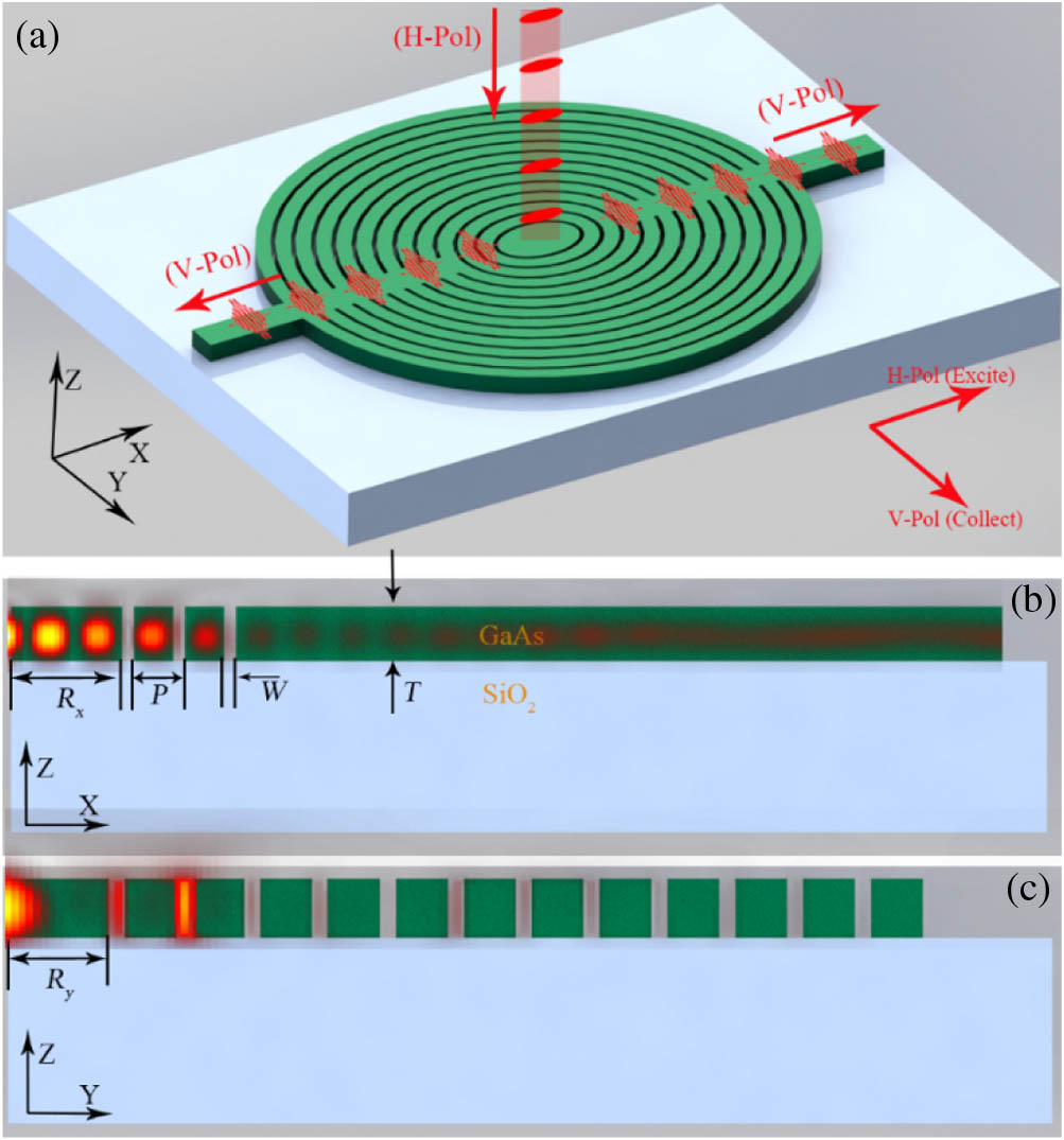 Schematic diagram of elliptical Bragg resonator with coupling waveguides for generation of on-chip single photons. (a) The elliptical Bragg resonator with coupling waveguides consists of an elliptical disk with quantum emitter in the center, fully etched elliptical Bragg gratings, and coupling waveguides on the long axis of the elliptical disk. The substrate of the structure is a thick low-refractive-index layer (e.g., silica). (b) Cross section with superimposed cavity mode electric field of the elliptical Bragg resonator with coupling waveguides in x direction. Rx is the radius of the central disk on x axis (long axis). P, W, period and grating spacing of the Bragg grating, respectively; T, thickness of the structure. (c) Cross section with superimposed cavity mode electric field of the elliptical Bragg resonator with coupling waveguide in y direction. Ry is the radius of the central disk on the y axis (short axis).