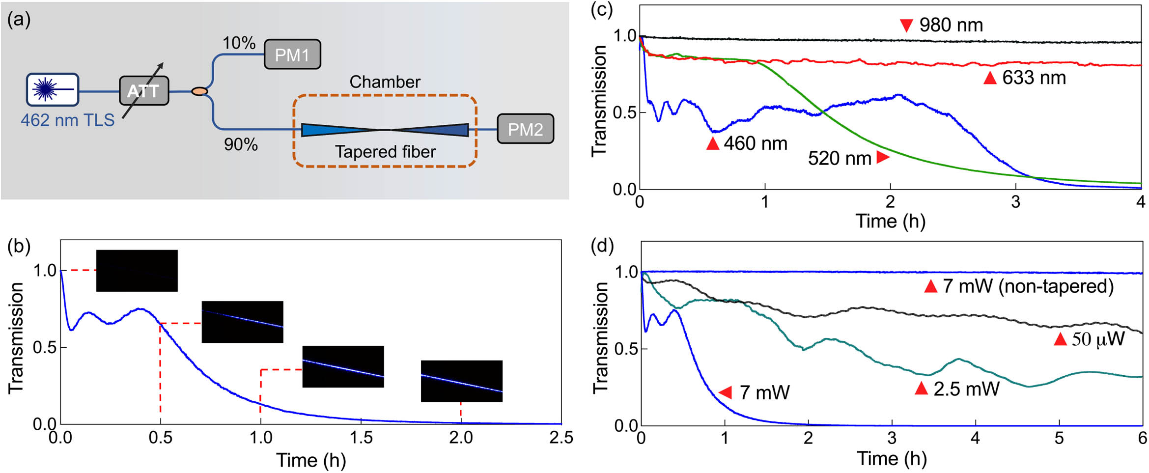 Photodarkening in optical nanofibers. (a) Experimental setup to measure the transmission through a nanofiber. TLS, tunable laser system; ATT, attenuator; and PM, power meter. (b) Normalized transmission through the 460HP nanofiber (500 nm waist) for a fixed pump power of 7 mW at 462 nm. Inset: images of the waist of the nanofiber over times of 0/30/60/120 min, the exposure time of the CCD camera was set to the lowest value at the beginning. (c) Normalized transmission through the 980HP nanofiber (500 nm waist) for a fixed pump power of 7 mW and different wavelengths. (d) Normalized transmission through the 460HP nanofiber (500 nm waist) for a fixed wavelength of 460 nm and different pump powers. The transmission of an untapered fiber is given for comparison. All transmissions measured on PM2 were normalized based on the power coupled into the tapered fiber, which is nine times the reference power as measured on PM1.
