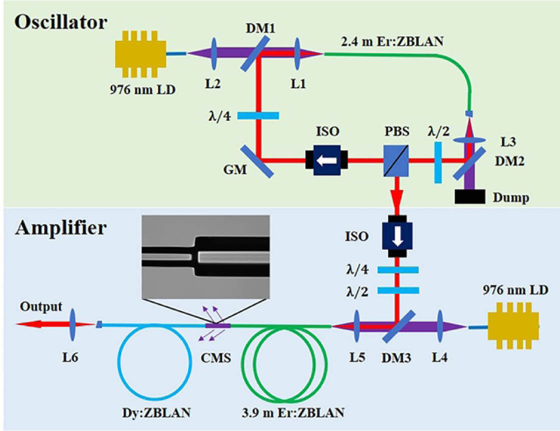 Schematic diagram of the laser system. DM, dichroic mirror; ISO, isolator; PBS, polarization beam splitter; LD, laser diode; λ/2, half-wave plate; λ/4, quarter-wave plate; L, lens; GM, gold mirror; CMS, cladding mode stripper.