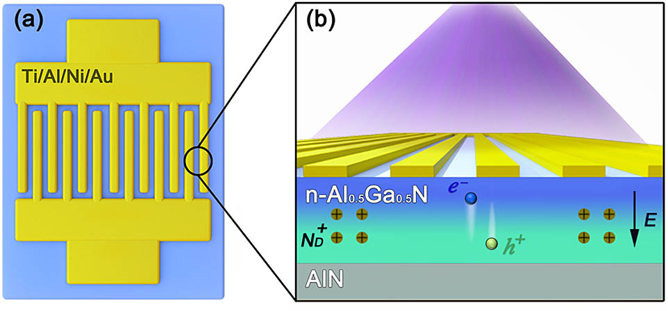 Schematic diagram of Al0.5Ga0.5N/AlN solar-blind UV photodetector, including (a) plan-view of interdigitated electrodes and (b) cross-sectional view, illustrates the separation of electron–hole pair generated by incident UV signal under the action of polarization electric field in the self-depleted Al0.5Ga0.5N layer.