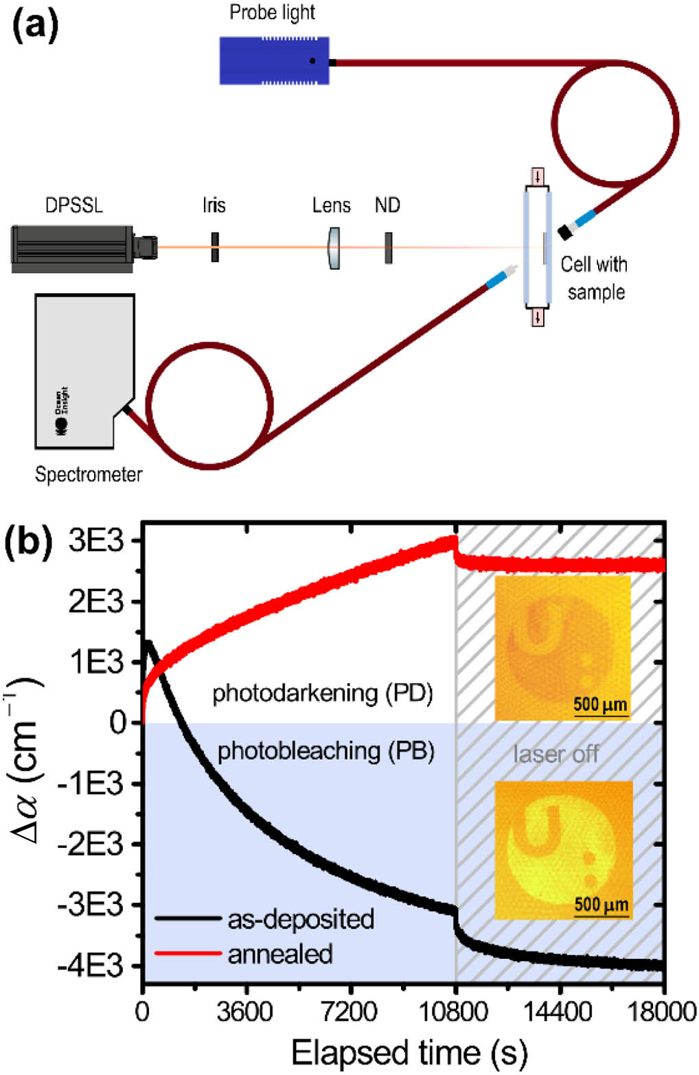 (a) Experimental scheme of irradiation setup for in situ measurements. A pump beam from a DPSS laser is aimed onto the sample through the plano–convex lens, and its desired optical intensity is adjusted by the neutral density filter(s) (ND). (b) Typical time evolution of absorption coefficient Δα(t) for as-deposited film (black) and annealed film (red) upon room-temperature irradiation at laser optical intensity of 125 mW·cm−2; shaded region represents the data acquisition after the laser is switched off; insets with photodarkened (top) and photobleached (bottom) University of Pardubice logo using 1 mm diameter negative stencil (colors are illustrational only without profiling).