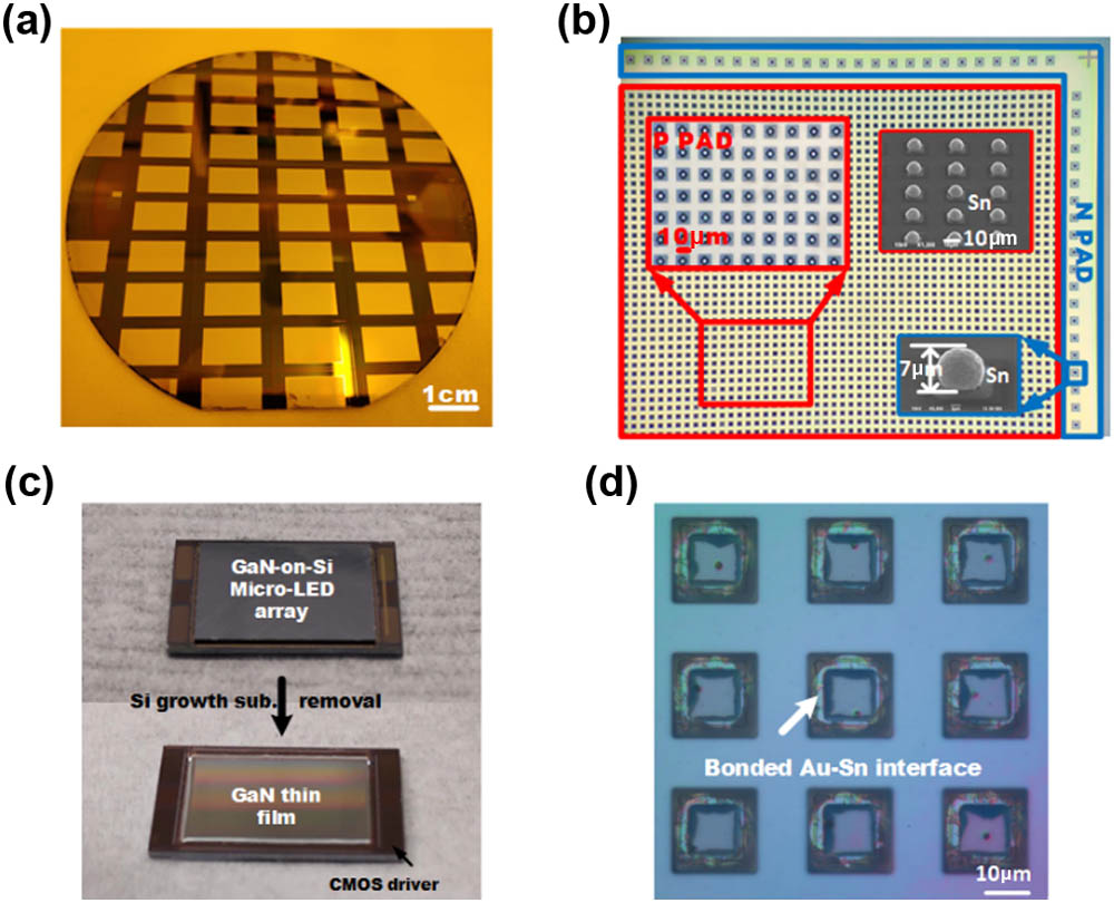 Fabrication of the monolithic blue GaN-on-Si micro-LED display module. (a) As-fabricated micro-LED array on the 4-in. GaN-on-Si epiwafer. Inspections of (b) the micro-LED array after Sn reflow, (c) flip-chip bonded blue display chip before and after the Si growth substrate removal. (d) Crack-free GaN surface after Si removal.