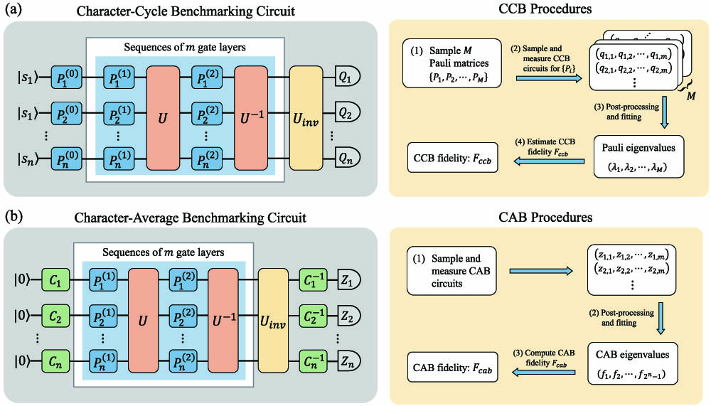 Illustrations of circuit and procedures used in (a) CCB and (b) CAB protocols. The orange boxes represent the target gate U and its inverse gate U−1. The blue and green boxes represent the random Pauli gate and random local Clifford gate. The yellow boxes denote the inverse gate for the m inner gate layers in the light blue box. Here, Pk(i) is a single-qubit Pauli gate on qubit k, and P(i)=P1(i)⊗⋯⊗Pn(i) is an n-qubit Pauli gate.