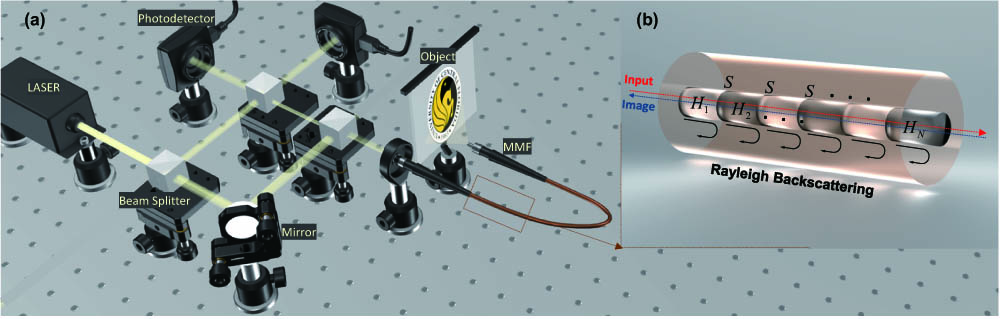 Endoscopy imaging system. (a) Basic demonstration setup. (b) Reflections from different segments of the fiber can be studied to characterize the evolution of the beam wavefront passing through the MMF.