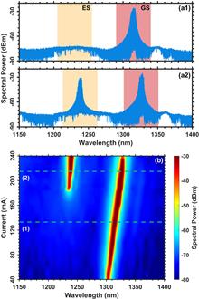 Reflection sensitivity of dual-state quantum dot lasers