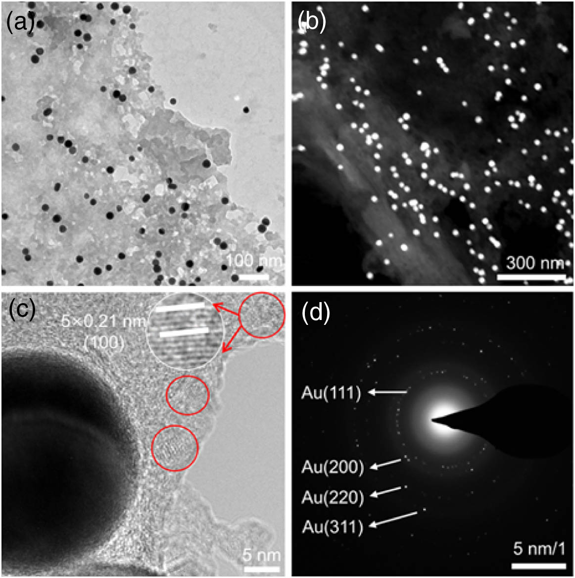 (a) Representative transmission electron microscopy (TEM) and (b) high angle annular dark-field-scanning transmission electron microscopy (HADDF-STEM) images of the AuNP/GQDs. (c) High resolution transmission electron microscopy (HRTEM) image of the AuNP/GQDs; the red circle inside is GQD, inset is a scaled up view of GQD with high resolution, lattice spacing is 0.21 nm, and crystal plane is (100). (d) Selected area electron diffraction (SAED) pattern of AuNP/GQDs.