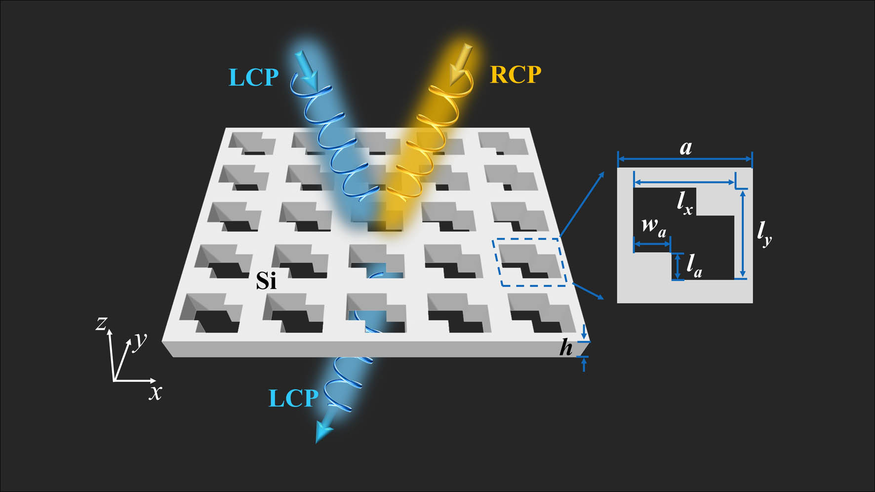 Schematic illustration of the chiral quasi-BIC photonic crystal slab (PhCs) with perforating holes. The yellow and blue colors represent the RCP and LCP lights, respectively. The inset shows the in-plane unit cell.