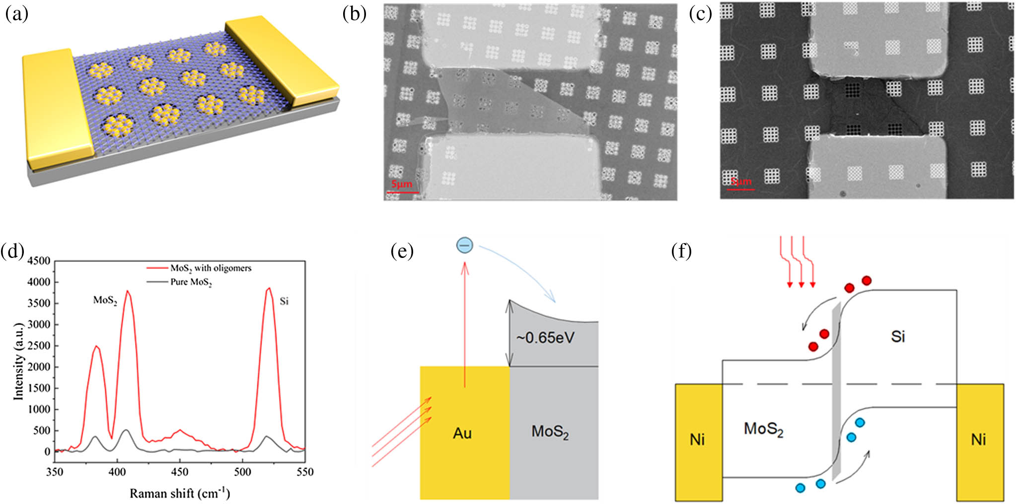 (a) Schematic of the photodetector. (b) SEM image of the photodetector. (c) SEM images of the photodetectors of the control group. (d) Raman spectra of the MoS2 on devices. (e) Schematic illustration of the internal photoemission in the Au-MoS2 Schottky junction. (f) Energy band diagram of Si/MoS2.