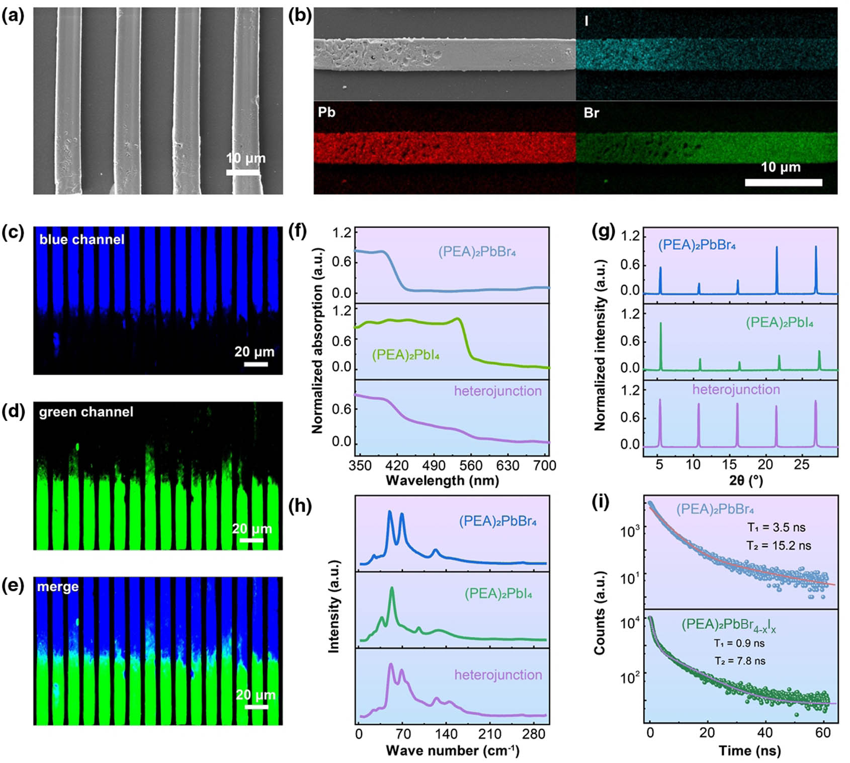 (a) SEM image of the lateral heterojunction array; (b) I, Pb, Br element distribution of lateral heterojunction; (c)–(e) fluorescence microscope photos of lateral heterojunction array; (f) absorption spectrum, (g) XRD pattern, and (h) Raman spectrum of (PEA)2PbBr4−xIx, (PEA)2PbBr4, and (PEA)2PbI4; (i) typical time-resolved photoluminescence curves of (PEA)2PbBr4 and (PEA)2PbBr4−xIx.
