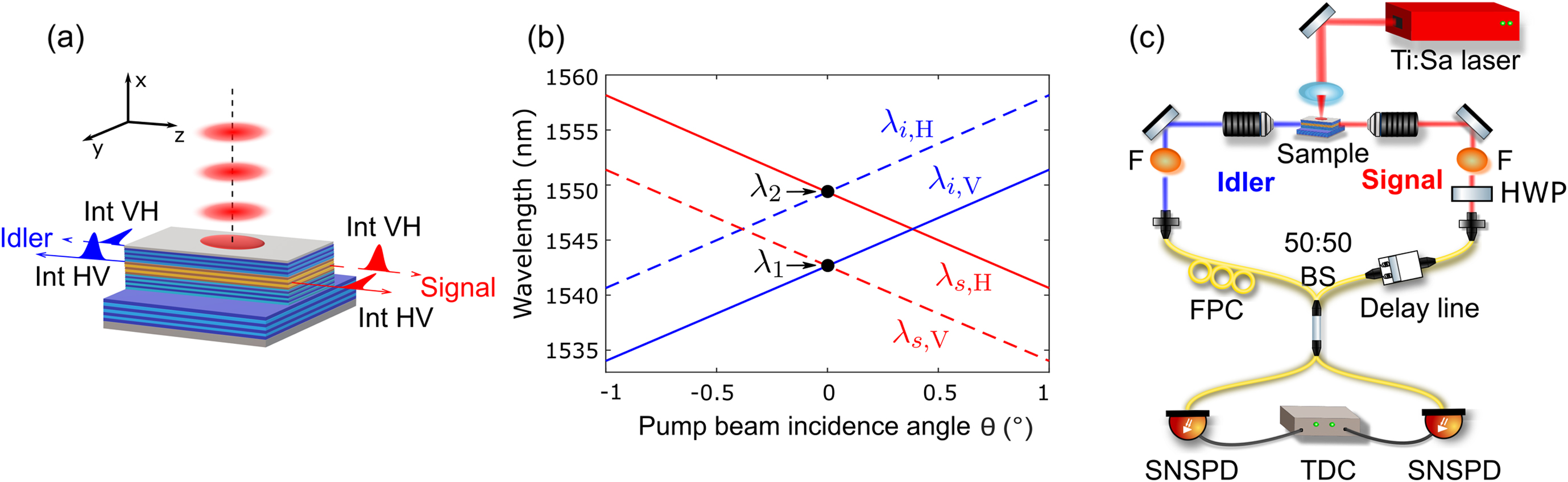 (a) Schematic of an AlGaAs ridge microcavity emitting counterpropagating twin photons by SPDC in a transverse pump geometry. Two type-II interactions occur, generating either an H-polarized signal photon and a V-polarized idler photon (interaction HV), or the opposite situation (interaction VH), resulting in a hybrid polarization–frequency entangled state. (b) Calculated SPDC tunability curve, showing the central wavelengths of signal and idler photons as a function of the pump incidence angle θ (with respect to the vertical x axis), for both interactions, using our sample properties and pump central wavelength λp=773.15 nm. (c) Sketch of the experimental setup to measure the HOM interference of the hybrid polarization–frequency state. HWP, half-wave plate; F, frequency filter; FPC, fibered polarization controller; BS, beam splitter; SNSPD, superconducting nanowire single-photon detector; TDC, time-to-digital converter.