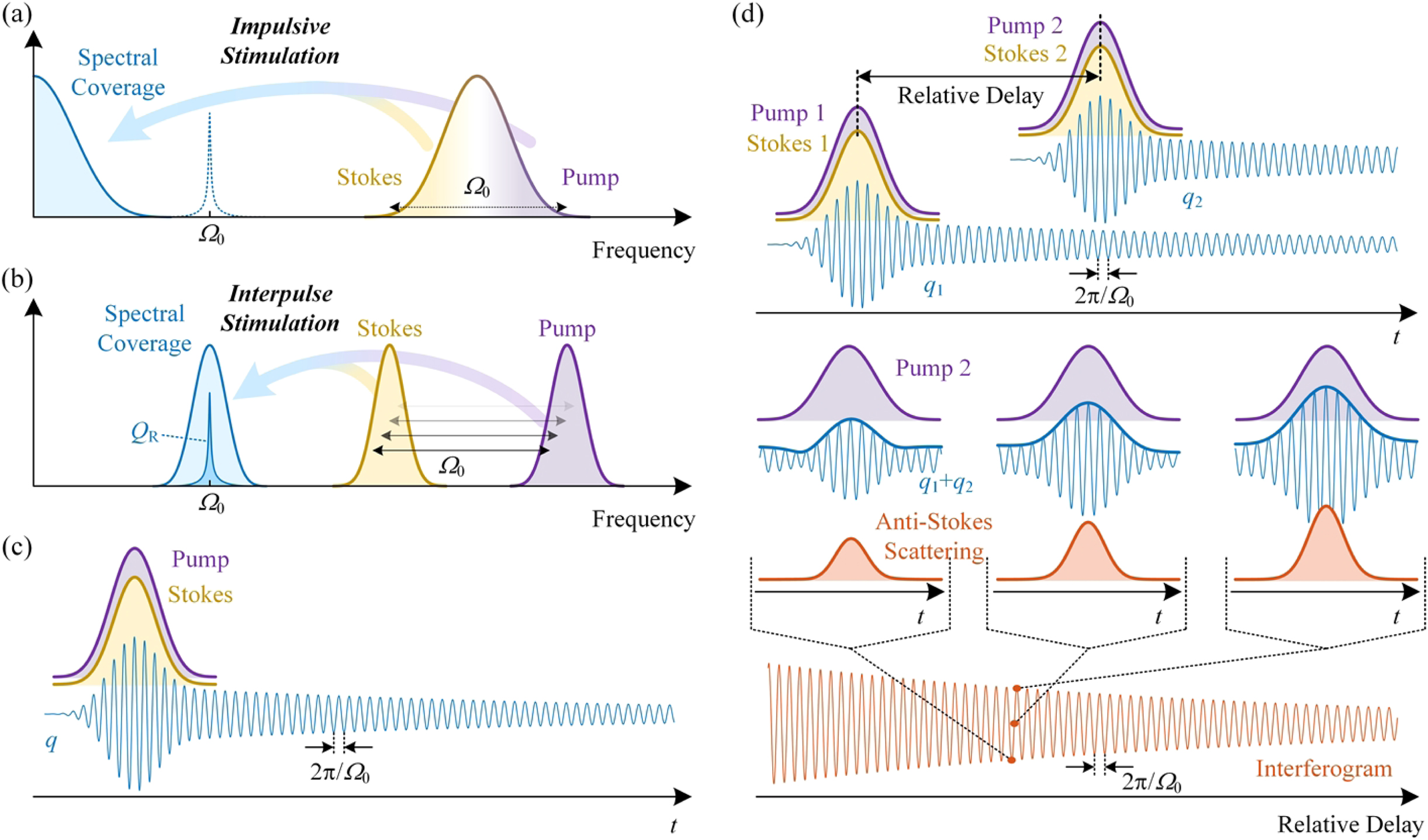 Comparison of (a) impulsive stimulation and (b) interpulse stimulation in the frequency domain. (c) Interpulse stimulation in the time domain. (d) Principle of interpulse stimulation FT-CARS.