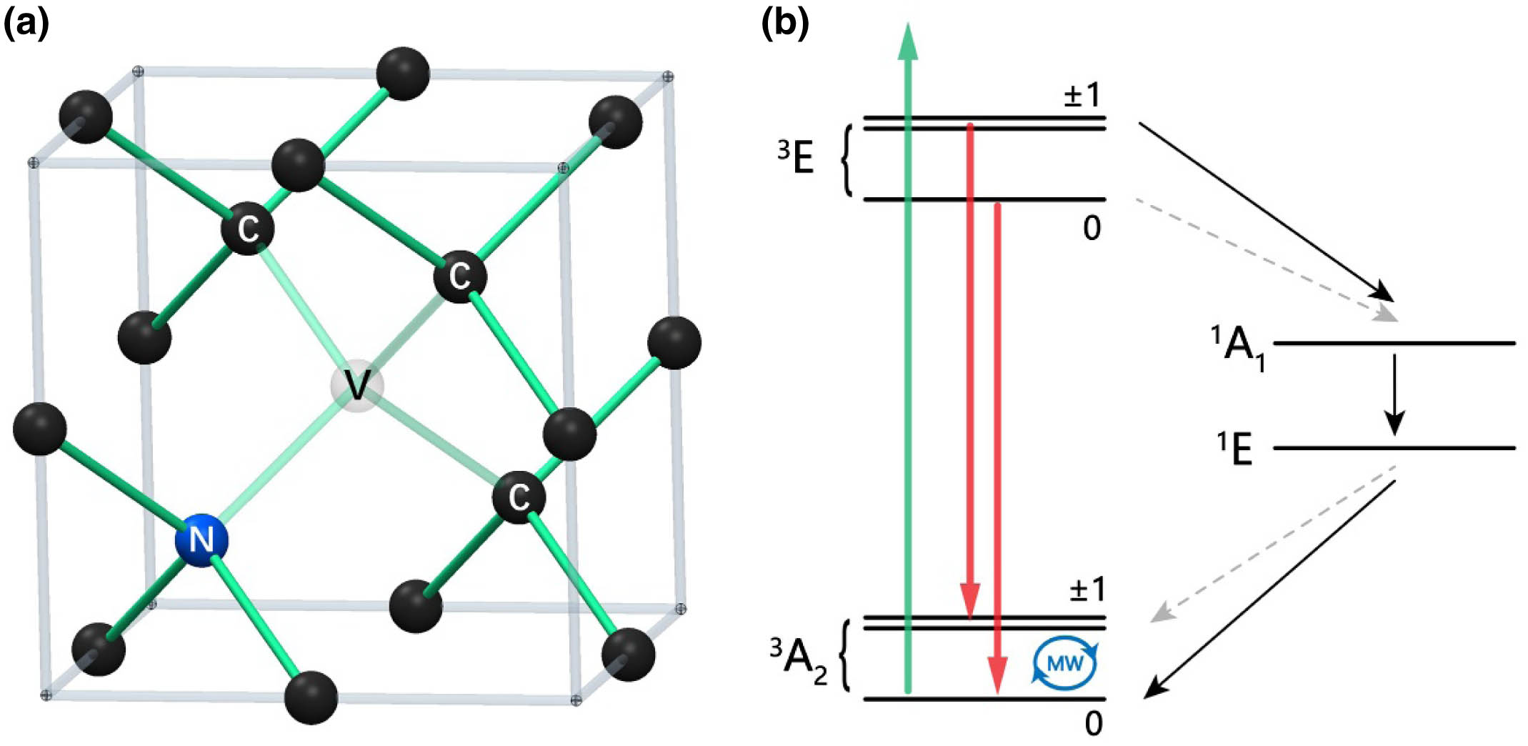 Properties of the nitrogen-vacancy center. (a) Illustration of the nitrogen-vacancy center and diamond lattice. Transparent, the vacancy; blue, the substitutional nitrogen atom; black, carbon atoms. (b) Relevant electronic energy levels of NV−. The NV− center is excited by 532 nm laser pulses off-resonantly (green arrow), and fluorescent photons from ∼600 to ∼800 nm are collected (red arrow). The strong (weak) intersystem crossings between spin-triplet states and spin-singlet states (E3→A11, E1→A23) are denoted by solid black (dashed gray) arrows. The spin states in the ground state (A23) can be manipulated by microwave (MW) excitation.